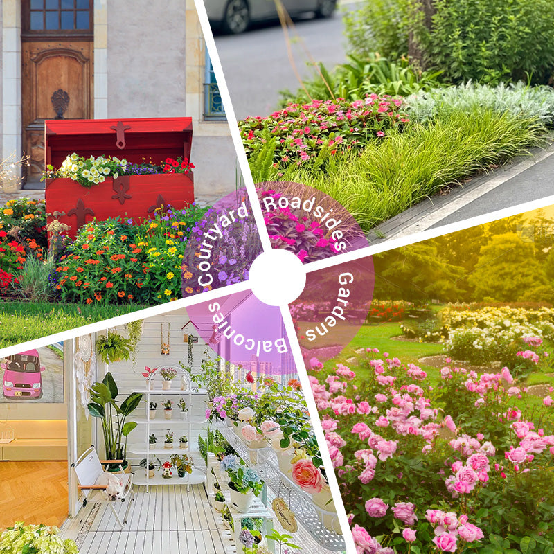 🌺 Kleurrijke wilde bloemen zaadmix voor alle seizoenen
