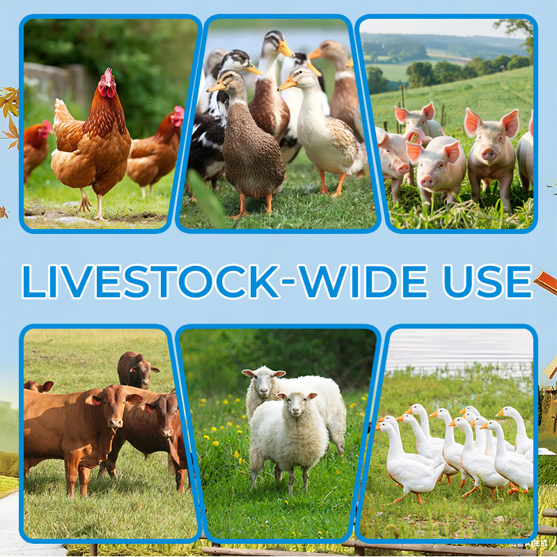 Dewormer for Animals