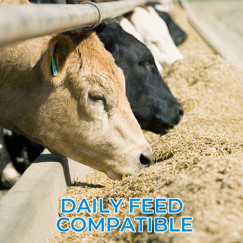 Dewormer for Animals