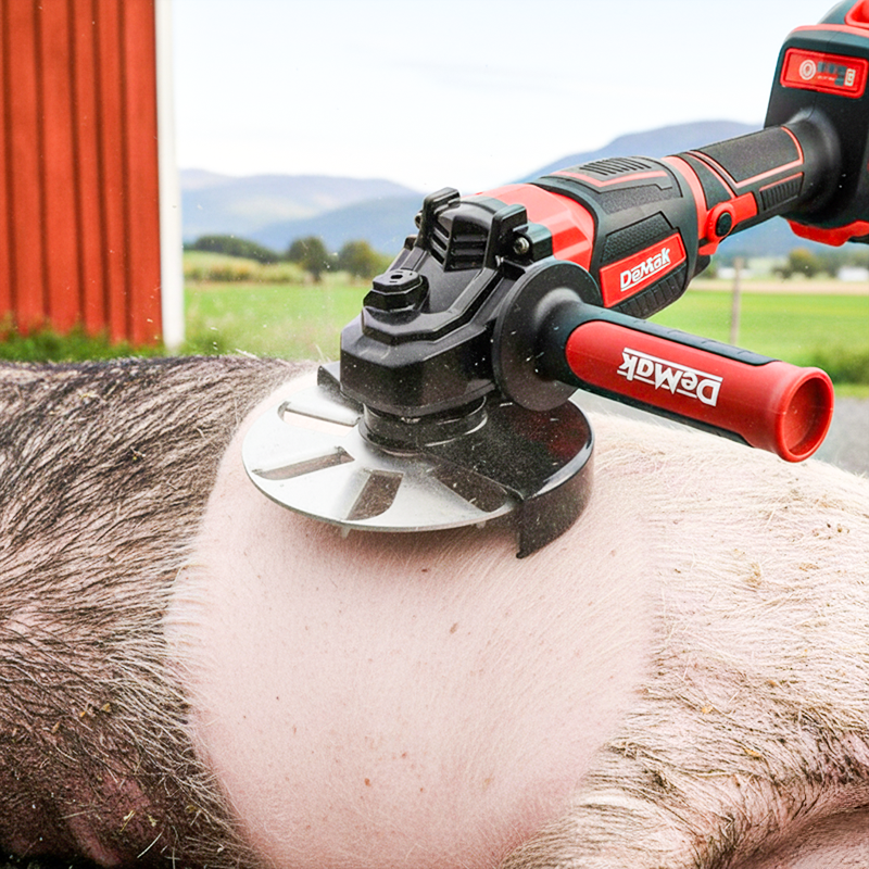 Labor-Saving Pig Hair Remover Scraper Disc