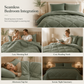 🛏️ Brushed Microfiber Comforter Set: Diamond Quilting, Moisture-Wicking, All-Season, 2 Pillowcases