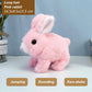 🎁50% off for a limited time🎁🐇Bunny - My Realistic Bunny Toy