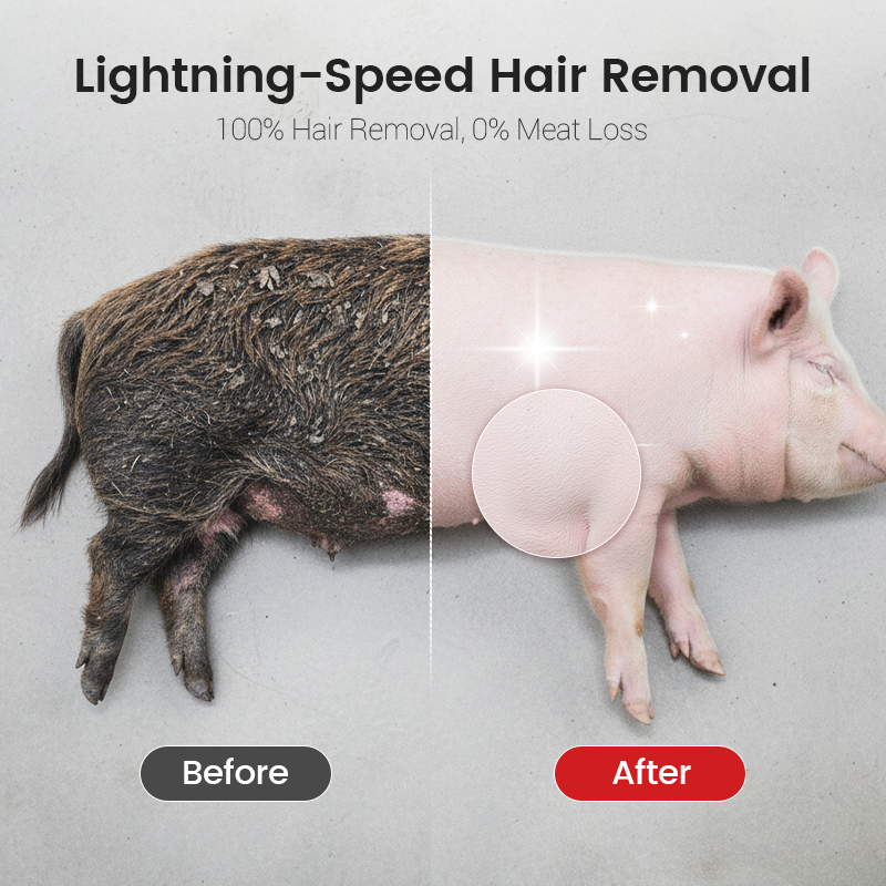 Labor-Saving Pig Hair Remover Scraper Disc