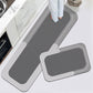 🥳Limited time hot sale🔥Non-Slip & Super Absorbent Floor Rugs🦶
