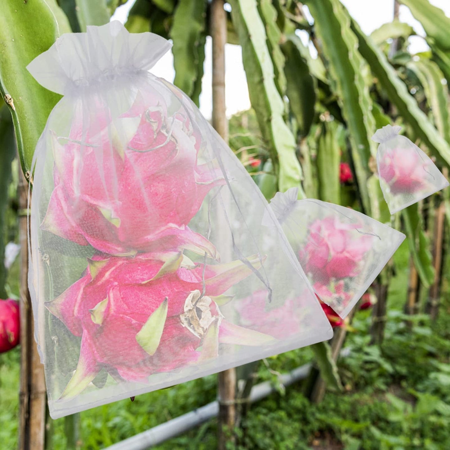 Buy 1 Get 1 Free🎁2026 NEW ARRIVALS 50% OFF🔥Fruit Protection Bags