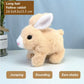 🎁50% off for a limited time🎁🐇Bunny - My Realistic Bunny Toy