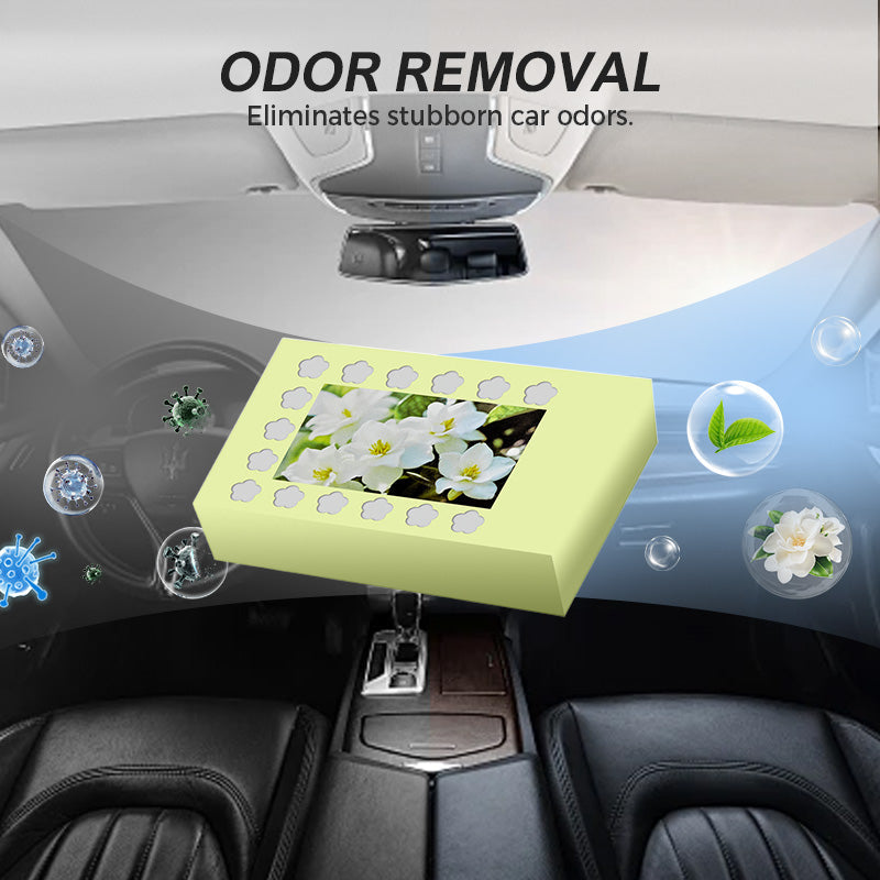 Long Lasting Natural Car Air Freshener