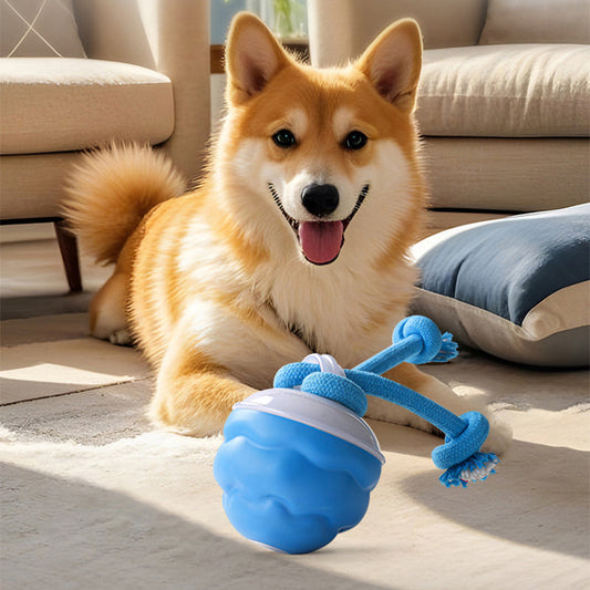 🐾Interactive Electronic Pet Soothing Toy Ball