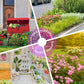 🌺 Kleurrijke wilde bloemen zaadmix voor alle seizoenen