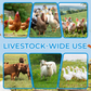 Dewormer for Animals