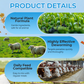 Dewormer for Animals