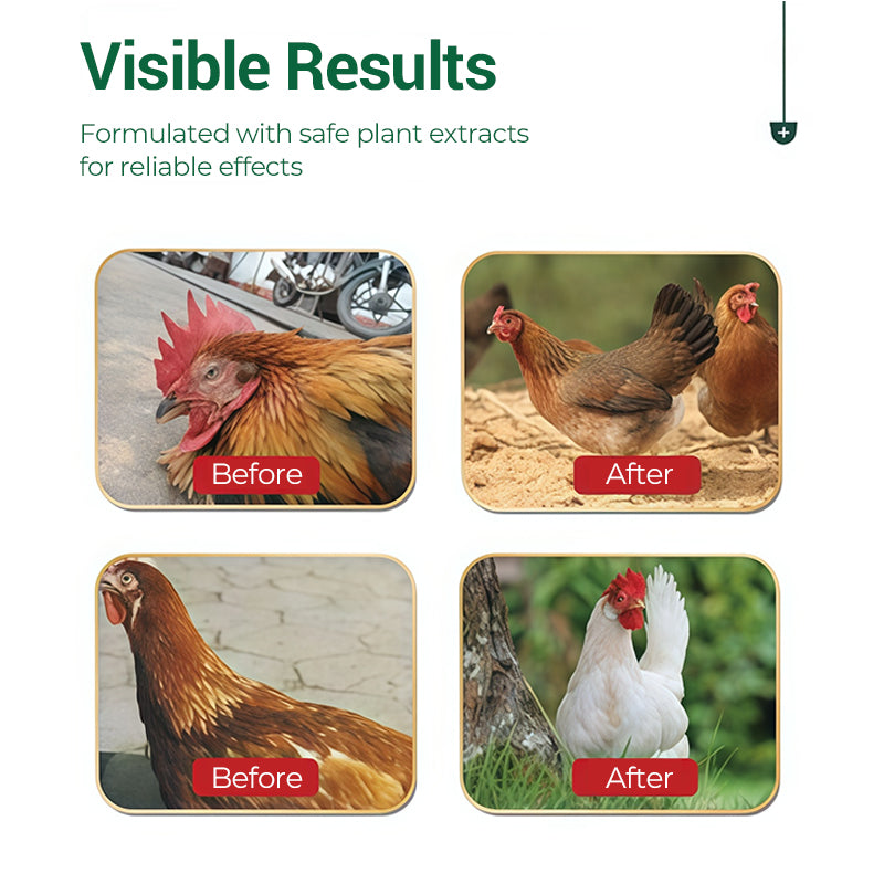 Multi-Symptom Oral Solution for Poultry