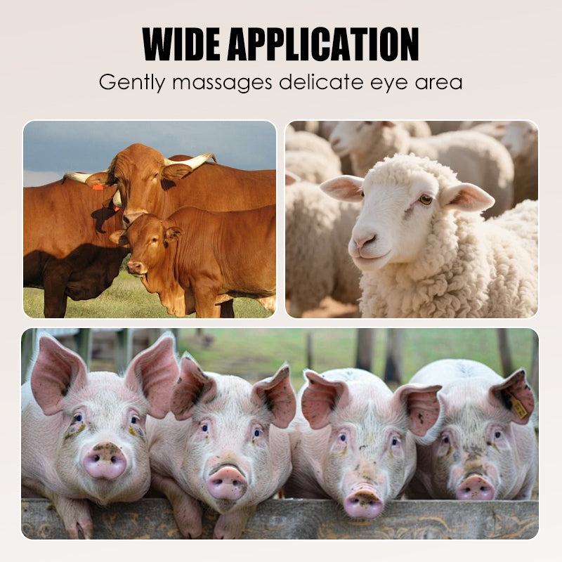 🔥 Hot Sale 50% OFF🔥Efficient Livestock Hair Removal Scraper
