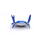 🔥LAST DAY 50% OFF💥❤️🤣 Funny Hot Sale - 🦀 Cute crab-shaped pen holder