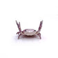 🔥LAST DAY 50% OFF💥❤️🤣 Funny Hot Sale - 🦀 Cute crab-shaped pen holder