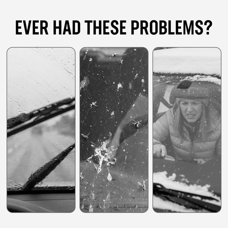 Rapid-Melt Winter Windshield Cleaner & De-Icer