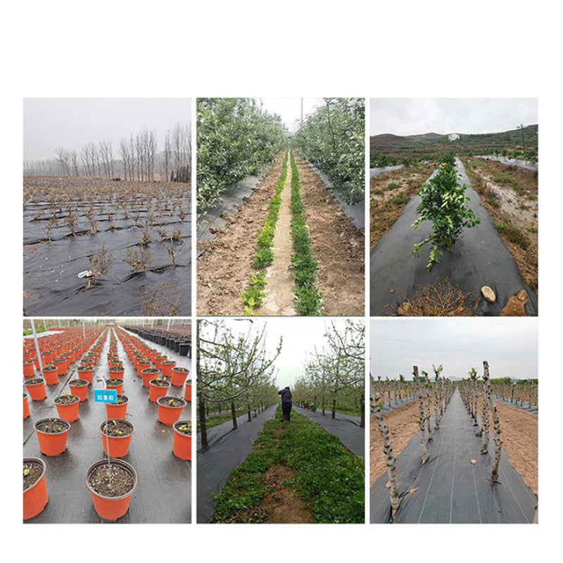 🌿 50% OFF NOW! 🛡️ Weed Barrier Fabric – Blocks Sunlight, Permeable & Heavy-Duty – No Weeds, No Hassle 🌱