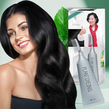 Plant-Based Comb Hair Dye