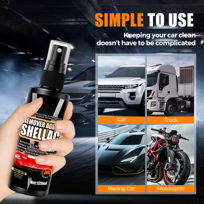 Paint-Safe Multi-Surface Car Stain Remover