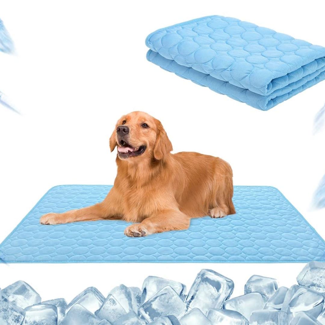 ❄️Give your furry friend a cool summer!🧊Pet Cooling Ice Silk Mat – Summer Cooling Pet Bed Pad for Dogs and Cats, Breathable Washable Sleeping Cushion for Indoor and Outdoor Use, Lightweight Cooling Crate and Sofa Pet Mat