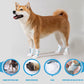 Water-Resistant Pet Paw Protectors – 2026 Bestseller 🐾