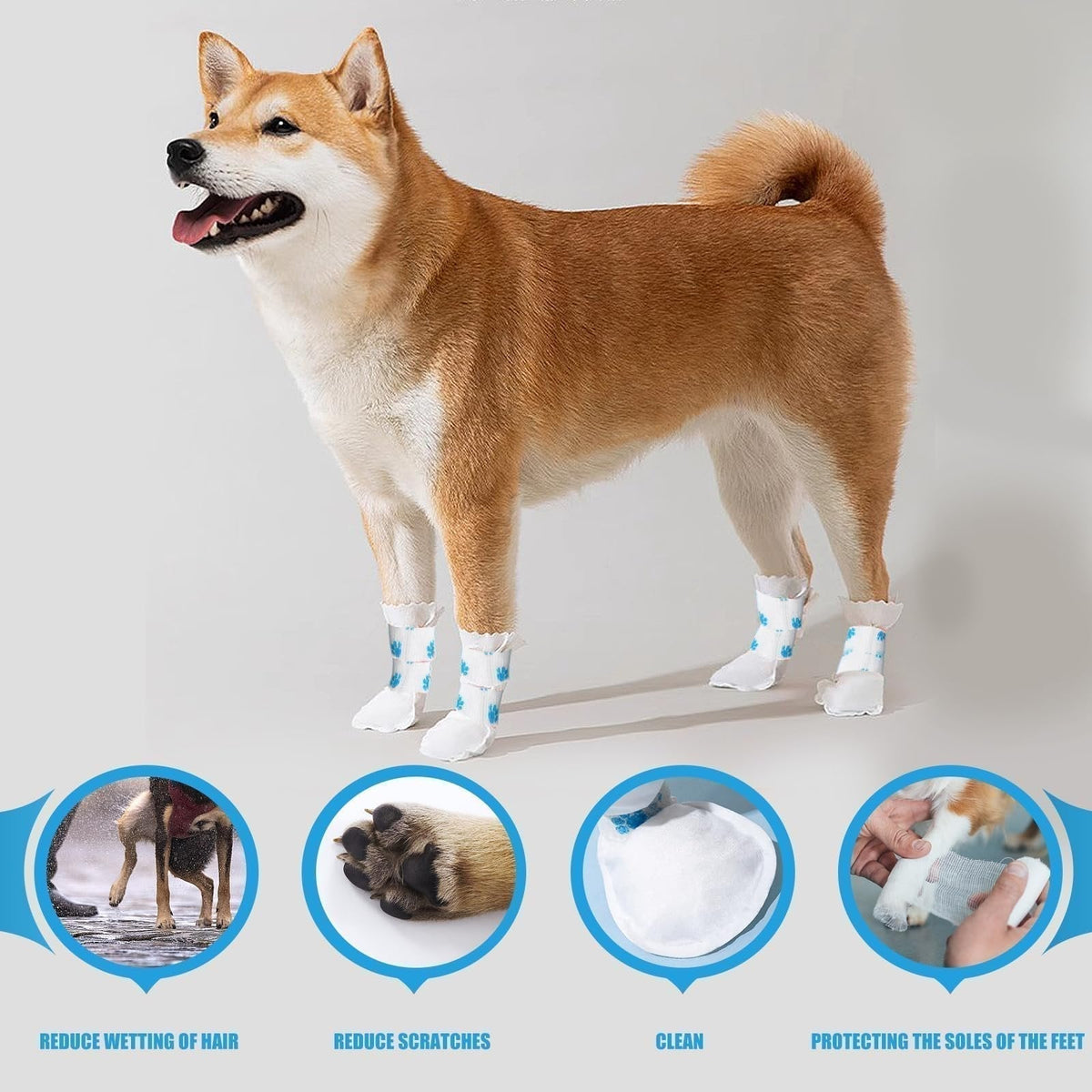 Water-Resistant Pet Paw Protectors – 2026 Bestseller 🐾