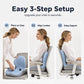 🪑Ergonomic memory foam seat cushion with back support