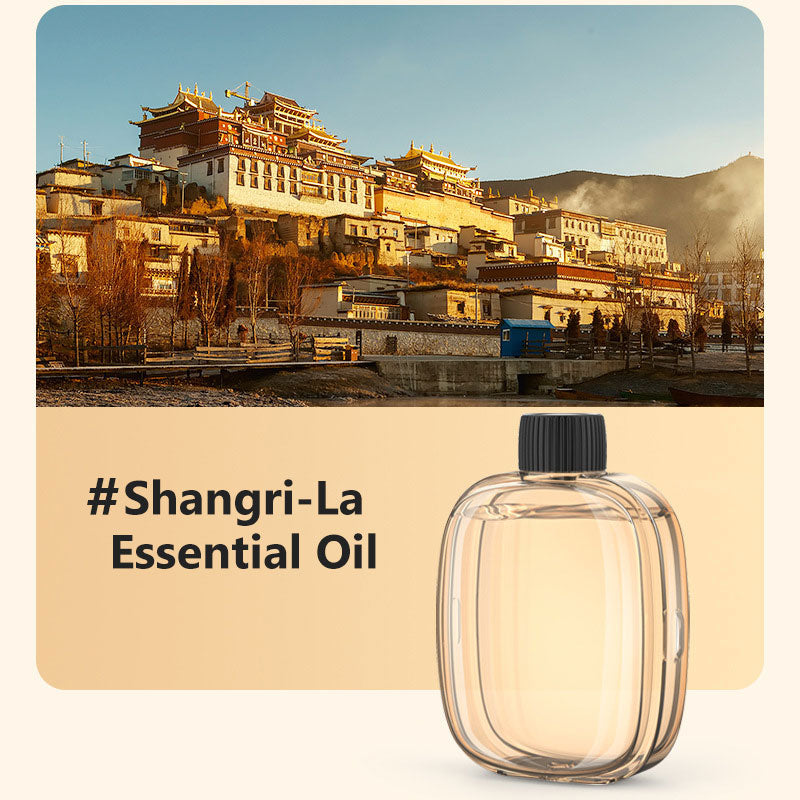 Freshen Any Room Instantly! No-Cord Timed Aroma Diffuser