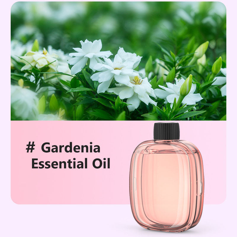 Freshen Any Room Instantly! No-Cord Timed Aroma Diffuser