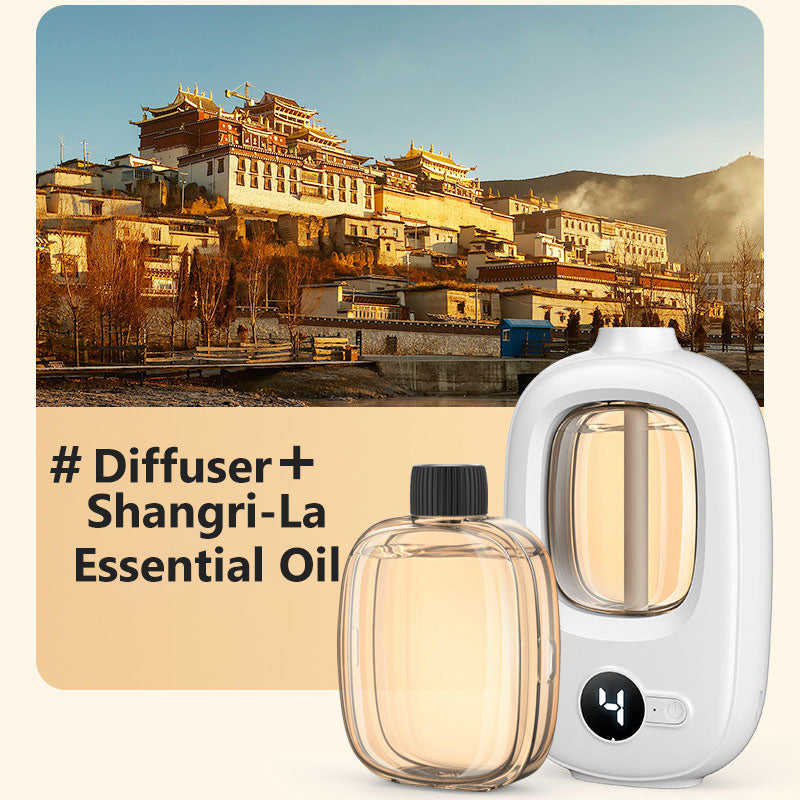 Freshen Any Room Instantly! No-Cord Timed Aroma Diffuser
