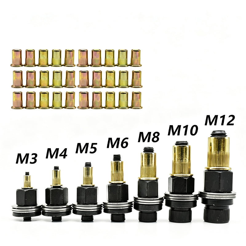 Rivet Nut Assortment Kit for Automotive Repair